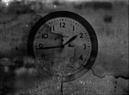 Patrick Tarrant 2015