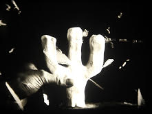 9 Objects 2016 - Bill Leslie