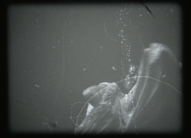 Gestation 2016 - Haley Peterson