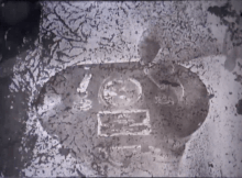 Nina Żabicka - Why Bother with Celluloid 2016 Nina Żabicka - Why Bother with Celluloid 2016